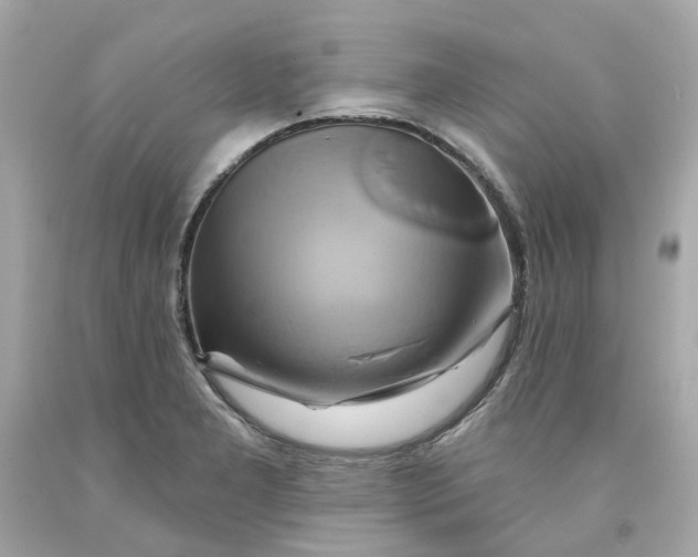 X0000091591277200709101033