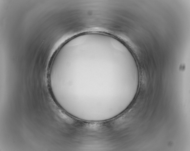 X0000091591278200709101033