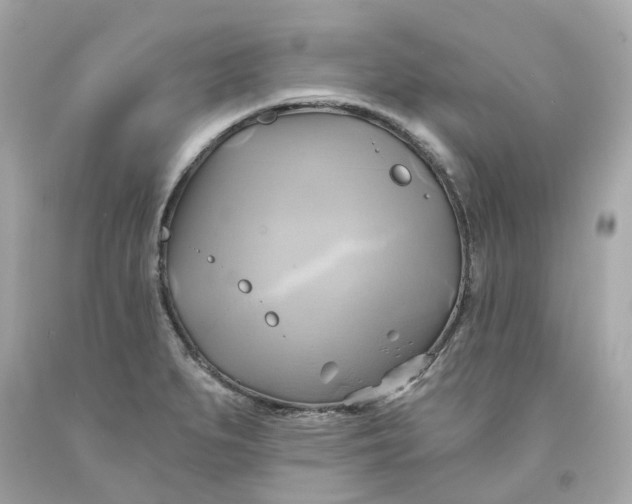 X0000091591279200709101033