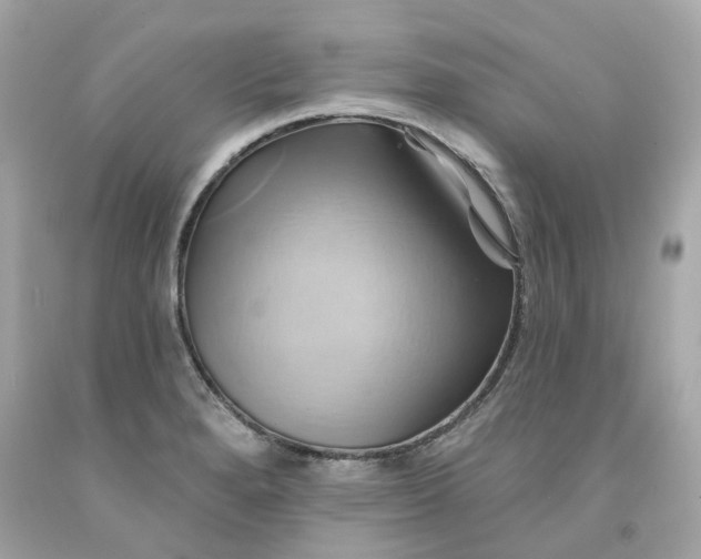 X0000091591280200709101033