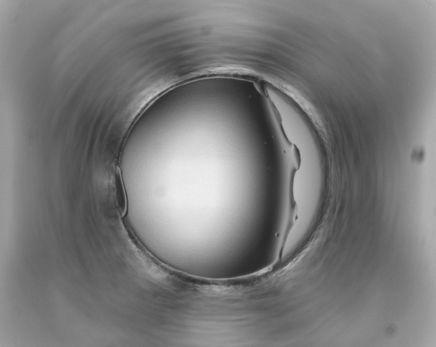 X0000091591281200709101033