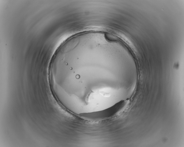 X0000091591283200709101033