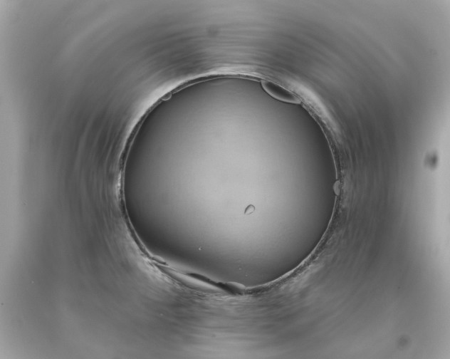 X0000091591284200709101032