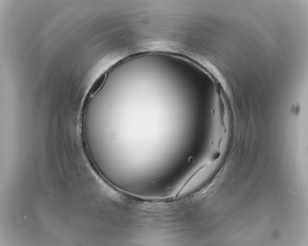 X0000091591285200709101032