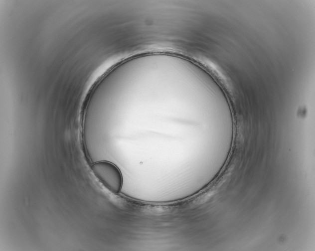 X0000091591286200709101032