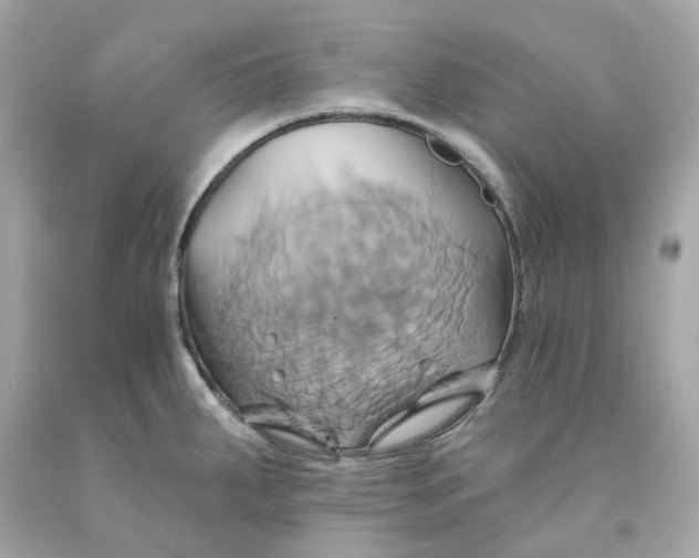 X0000091591287200709101032