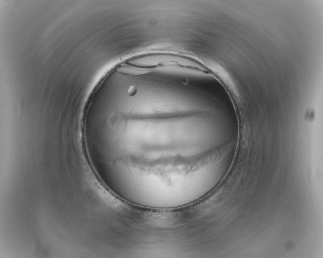 X0000091591288200709101032