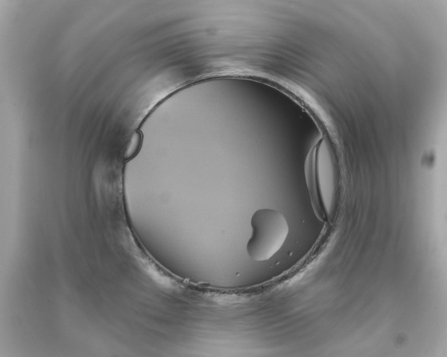 X0000091591289200709101032