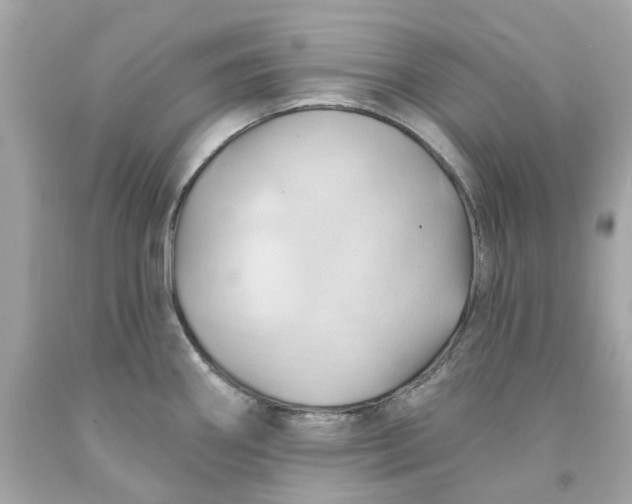 X0000091591290200709101032