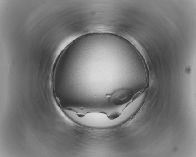 X0000091591293200709101032