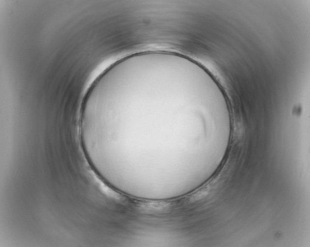 X0000091591294200709101032