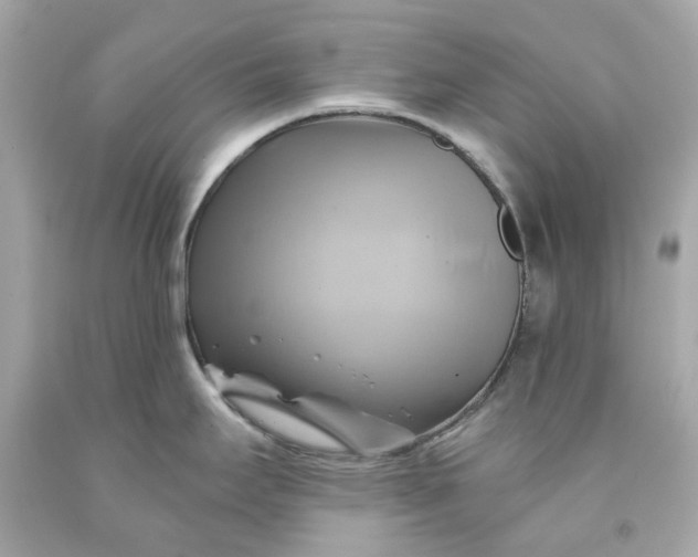 X0000091591295200709101032