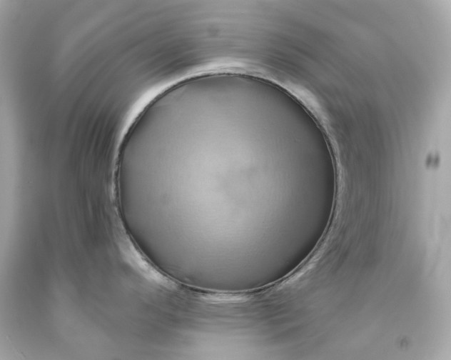 X0000091591296200709101032