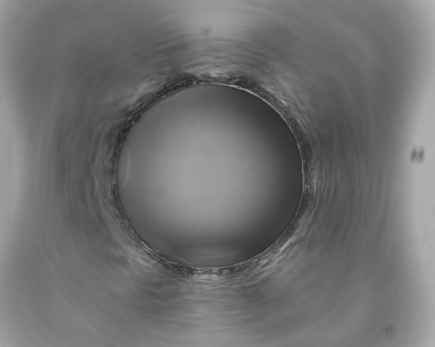 X0000091591297200709101032