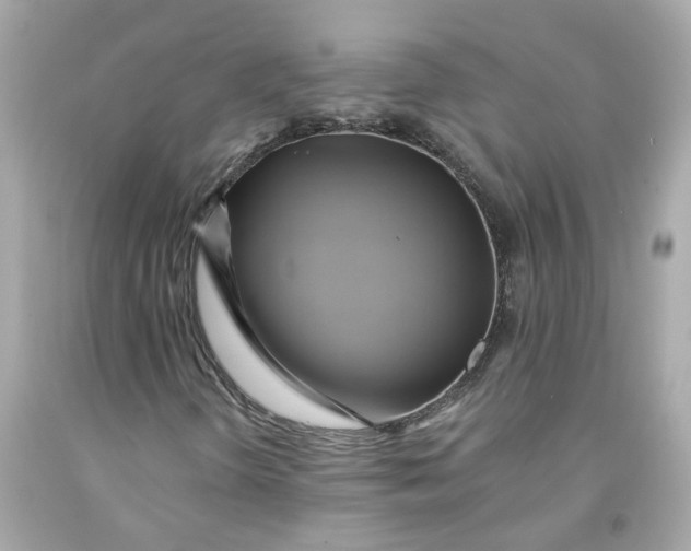 X0000091591298200709101032