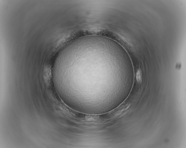 X0000091591299200709101032