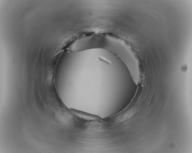 X0000091591300200709101032