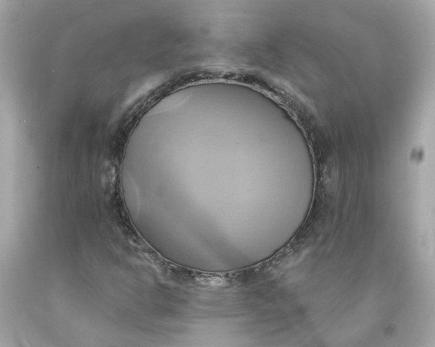 X0000091591302200709101032