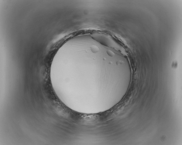 X0000091591303200709101032