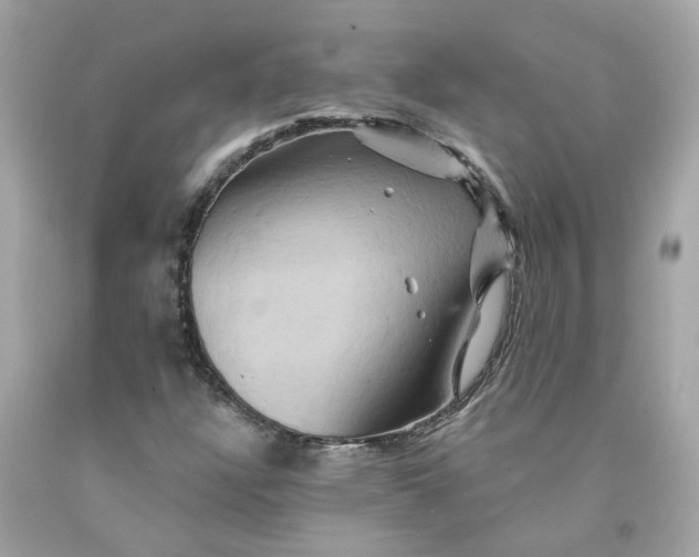 X0000091591304200709101032