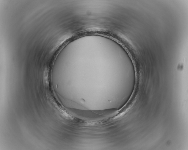 X0000091591305200709101032