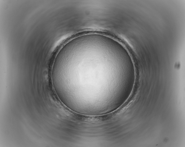 X0000091591307200709101032