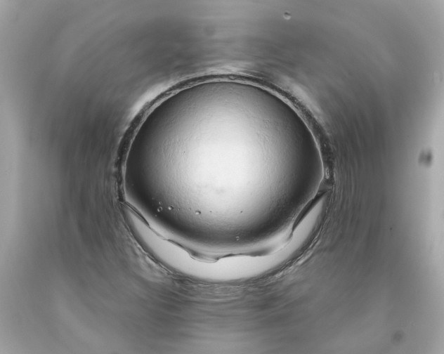 X0000091591308200709101032