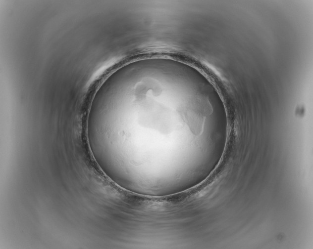 X0000091591309200709101032