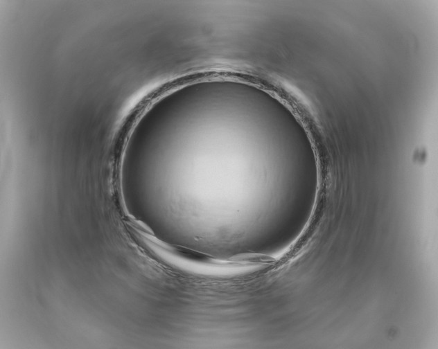 X0000091591310200709101032