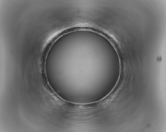 X0000091591311200709101032