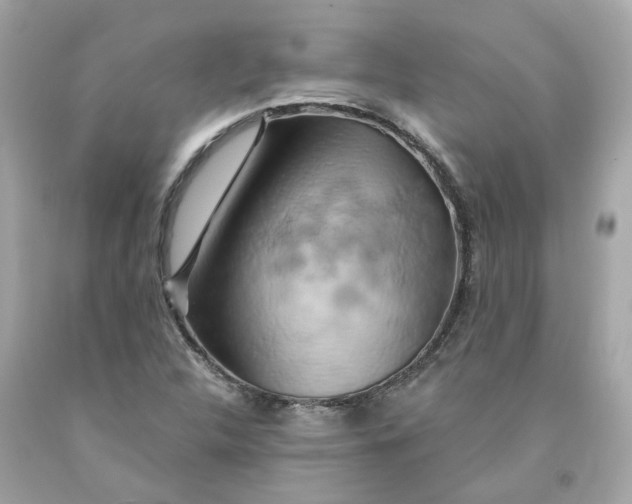 X0000091591312200709101032