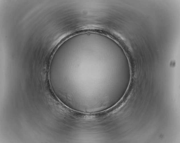 X0000091591313200709101032