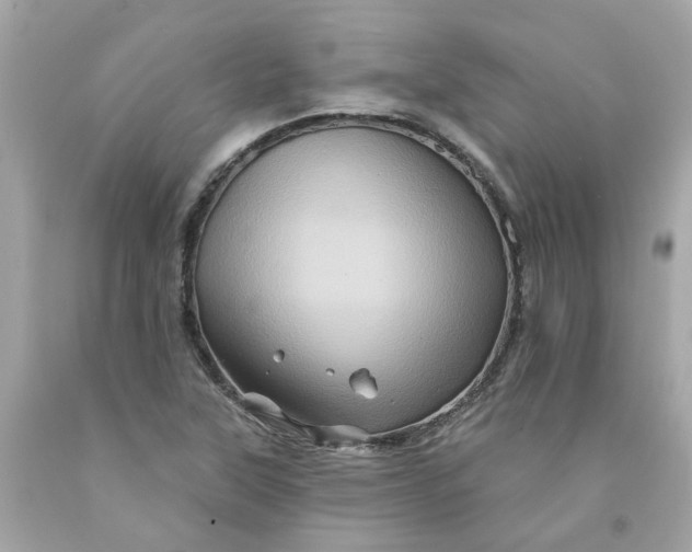 X0000091591315200709101032