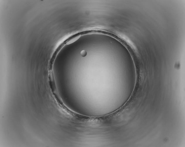 X0000091591316200709101032