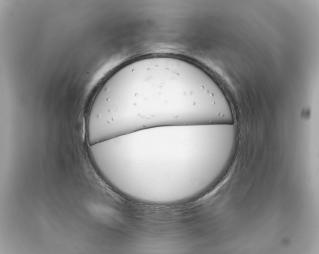 X0000091591317200709101032