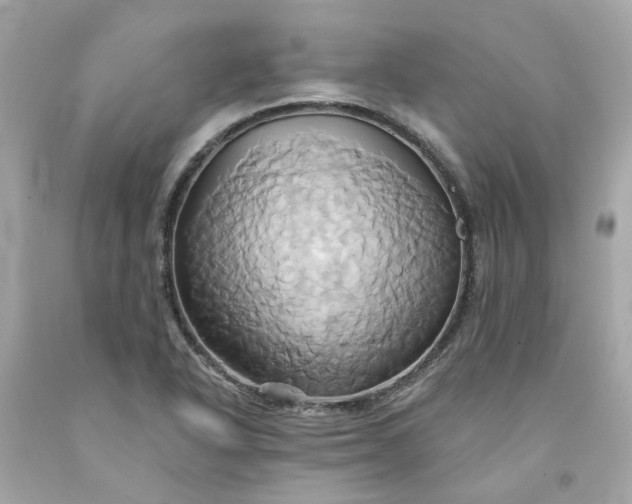 X0000091591318200709101032