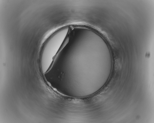 X0000091591319200709101032