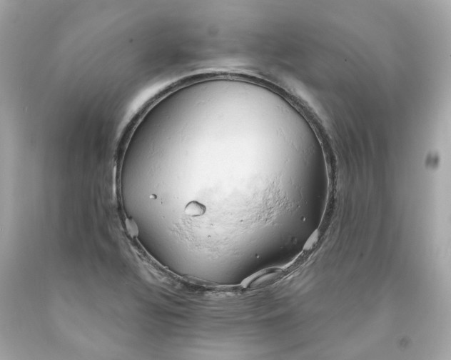 X0000091591320200709101032