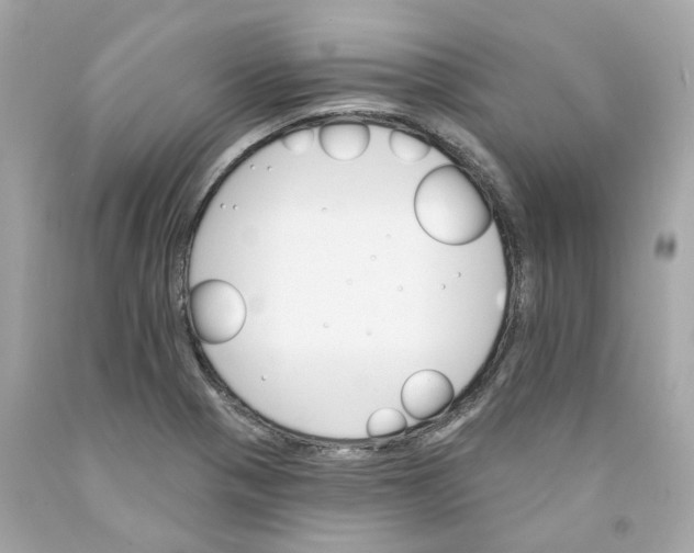 X0000091591321200709101032