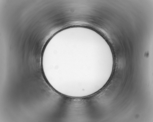 X0000091591322200709101032