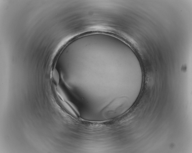 X0000091591323200709101032