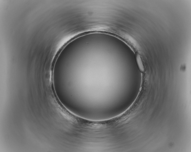 X0000091591324200709101032