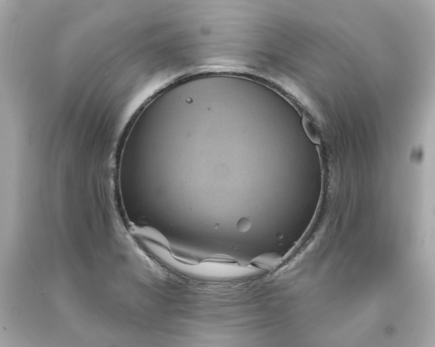 X0000091591325200709101032