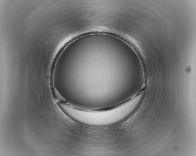 X0000091591326200709101032