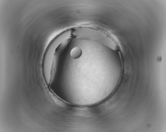 X0000091591328200709101032