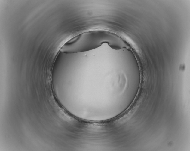 X0000091591329200709101032