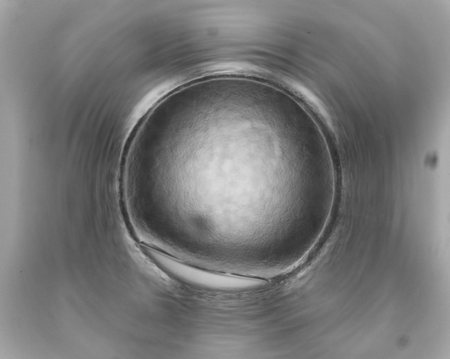 X0000091591330200709101032