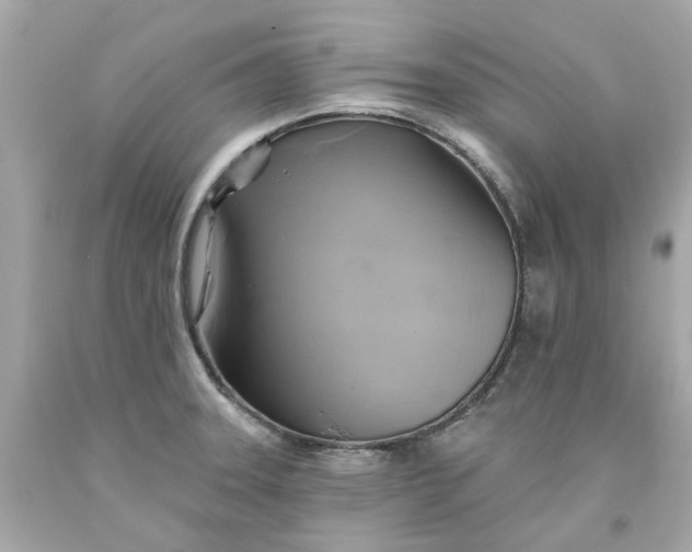 X0000091591331200709101032