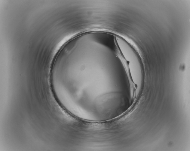 X0000091591333200709101032