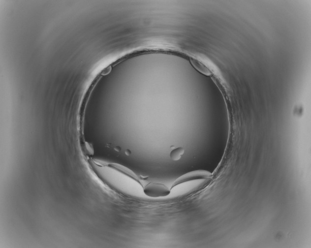 X0000091591335200709101032